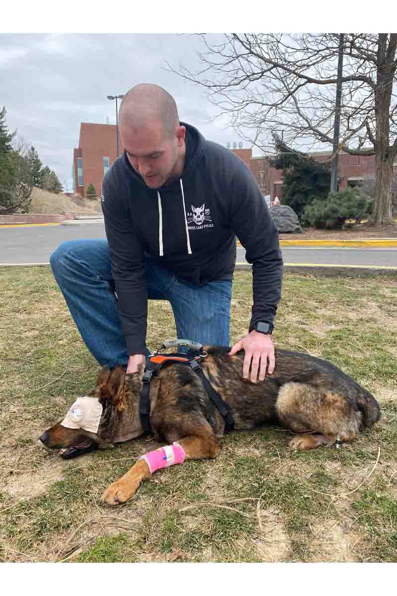 A retired working K-9