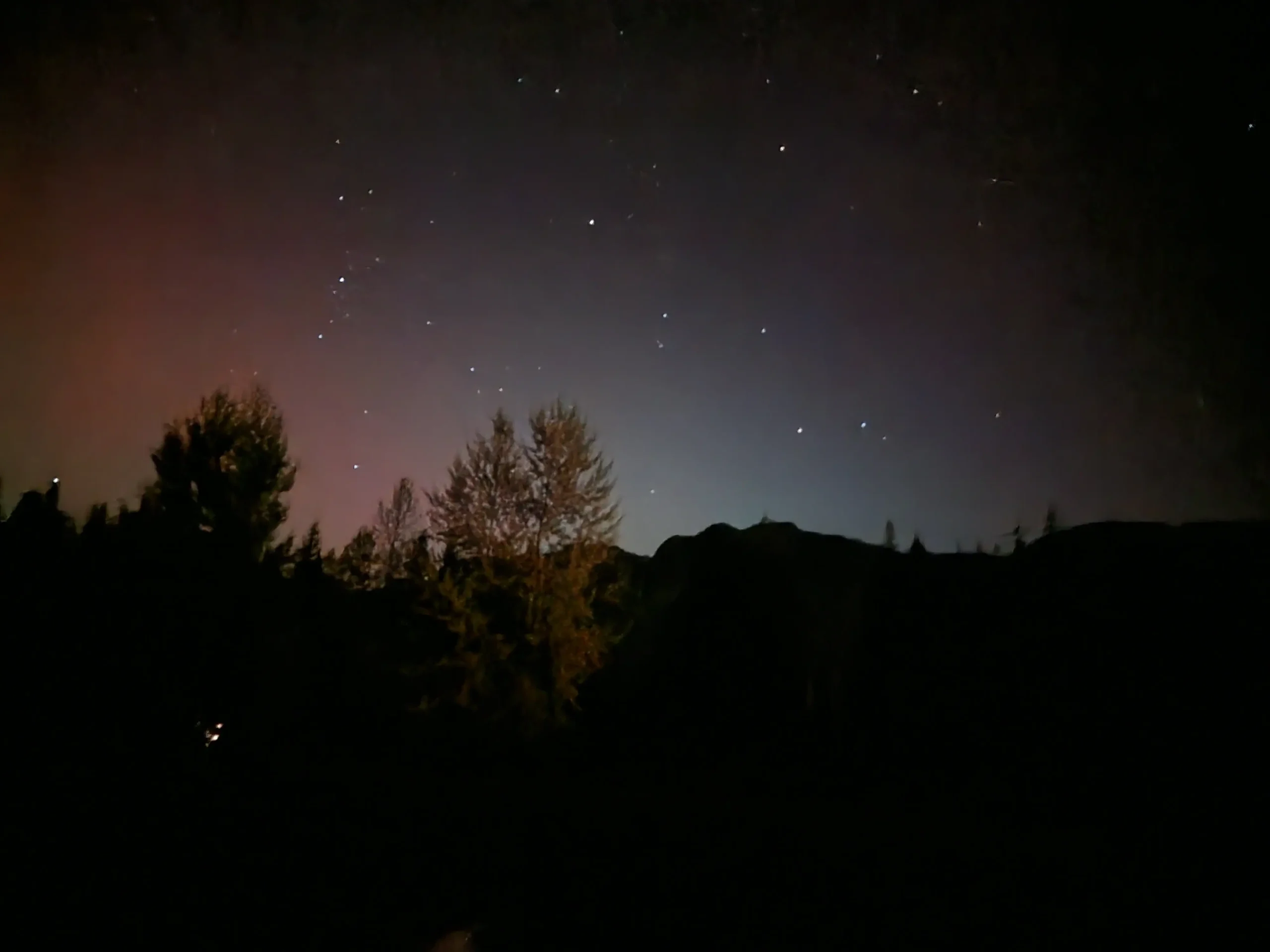 A field of stars
