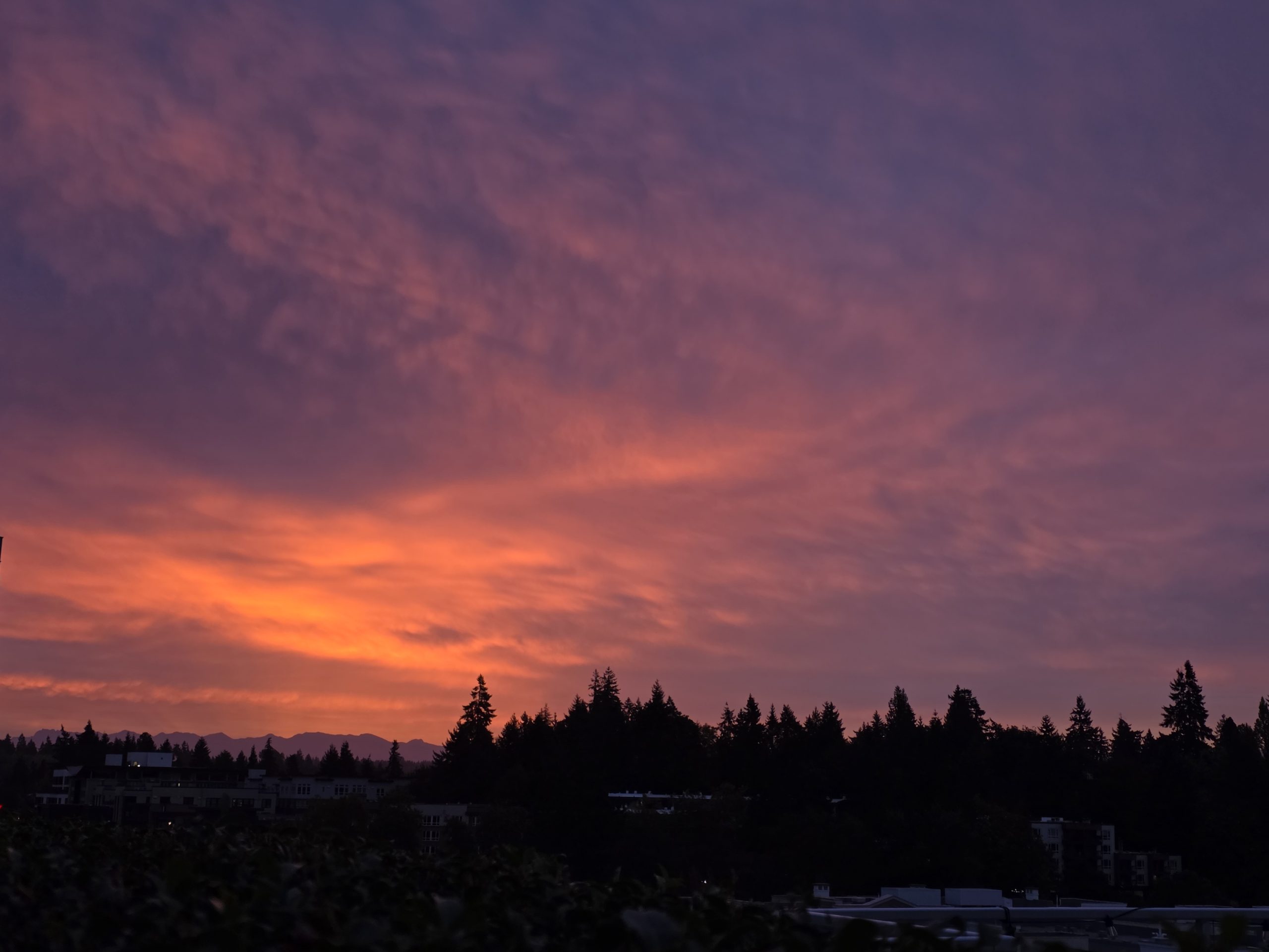 Red sky at dusk